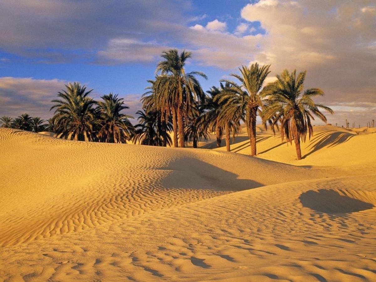فندق Belere Arfoud المظهر الخارجي الصورة